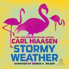 Stormy Weather by Carl Hiaasen audiobook