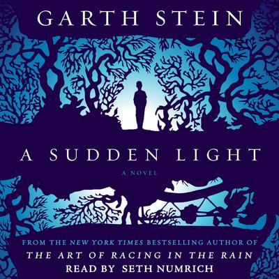 A Sudden Light by Garth Stein audiobook