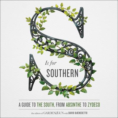 S Is for Southern by David DiBenedetto audiobook