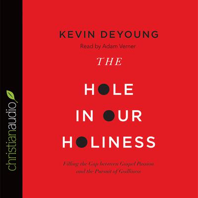 Hole in Our Holiness by Kevin DeYoung audiobook