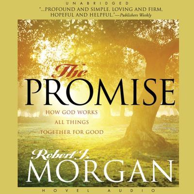 Promise by Robert J. Morgan audiobook