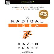 A Radical Idea by  David Platt audiobook