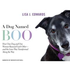 A Dog Named Boo by Lisa Edwards audiobook