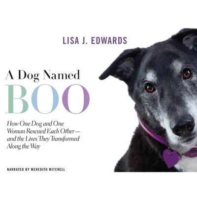 A Dog Named Boo by Lisa Edwards audiobook
