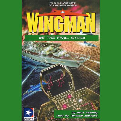 The Final Storm by Mack Maloney audiobook