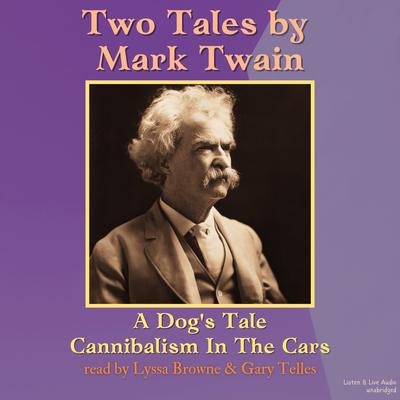 Two Tales from Mark Twain by Mark Twain audiobook
