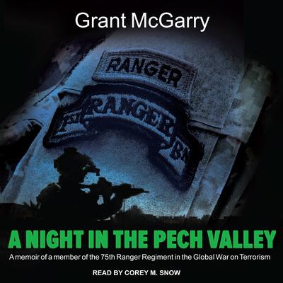 A Night in the Pech Valley by Grant McGarry audiobook