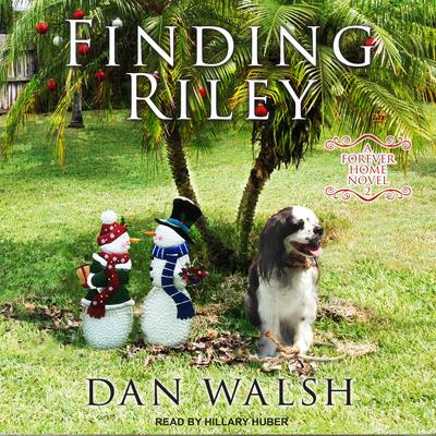 Finding Riley by Dan Walsh audiobook