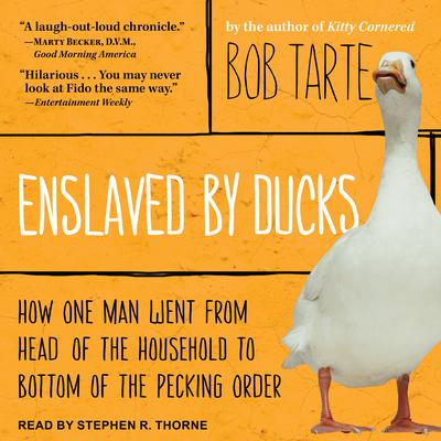 Enslaved by Ducks by Bob Tarte audiobook