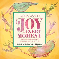 Joy in Every Moment by Tzivia Gover audiobook