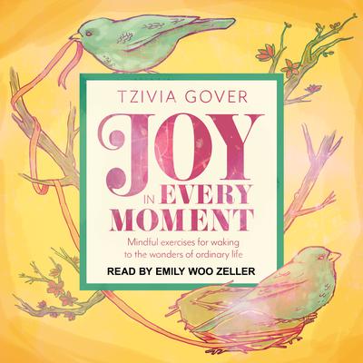 Joy in Every Moment by Tzivia Gover audiobook