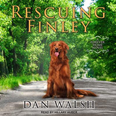 Rescuing Finley by Dan Walsh audiobook
