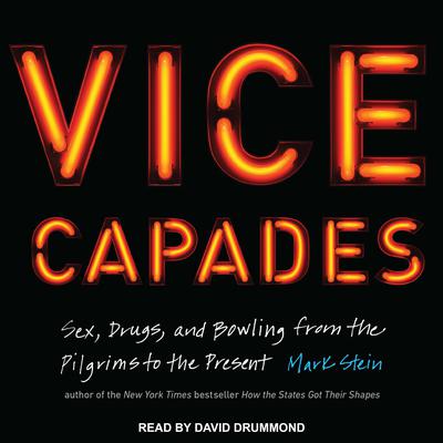 The Vice Capades by Mark Stein audiobook
