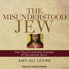 The Misunderstood Jew by Amy-Jill Levine audiobook