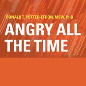 Angry All the Time by  Ronald T. Potter-Efron MSW PhD audiobook
