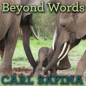 Beyond Words by  Carl Safina audiobook