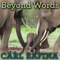 Beyond Words by Carl Safina audiobook