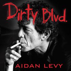 Dirty Blvd. by Aidan Levy audiobook