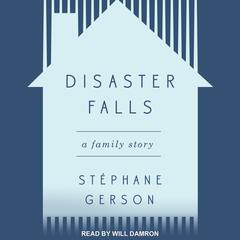 Disaster Falls by Stephane Gerson audiobook