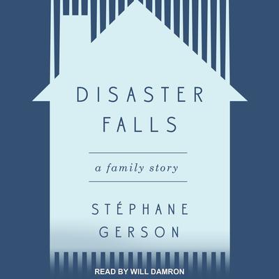 Disaster Falls by Stephane Gerson audiobook
