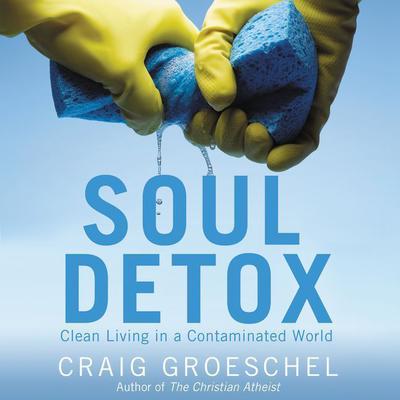 Soul Detox by Craig Groeschel audiobook