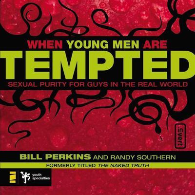 When Young Men Are Tempted by Bill Perkins audiobook