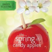 The Spring of Candy Apples by  Debbie Viguié audiobook