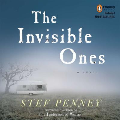 The Invisible Ones by Stef Penney audiobook