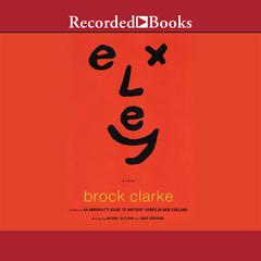 Exley by Brock Clarke audiobook
