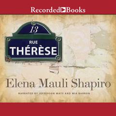 13 Rue Therese by Elena Mauli Shapiro audiobook