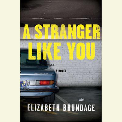 A Stranger Like You by Elizabeth Brundage audiobook