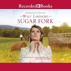 Sugar Fork by Walt Larimore audiobook