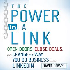 The Power in a Link by David Gowel audiobook