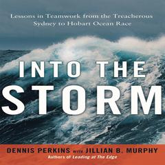 Into the Storm by Dennis N. T. Perkins audiobook