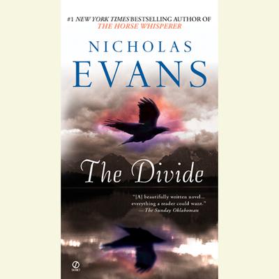The Divide by Nicholas Evans audiobook