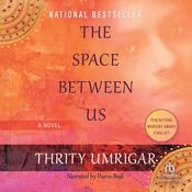 The Space Between Us by  Thrity Umrigar audiobook