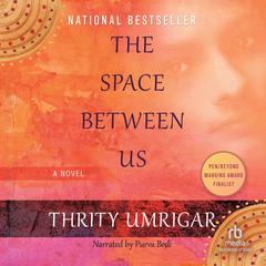 The Space Between Us by Thrity Umrigar audiobook