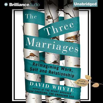 The Three Marriages by David Whyte audiobook