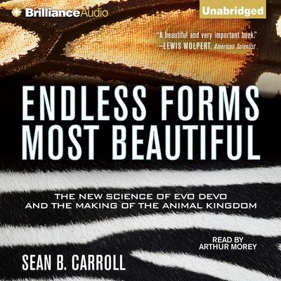 Endless Forms Most Beautiful by Sean B. Carroll audiobook