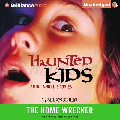 The Home Wrecker by Allan Zullo audiobook