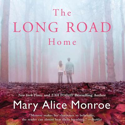 The Long Road Home by Mary Alice Monroe audiobook