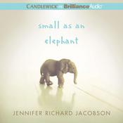 Small as an Elephant by  Jennifer Richard Jacobson audiobook