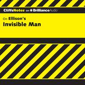 Invisible Man by  Durthy A. Washington audiobook