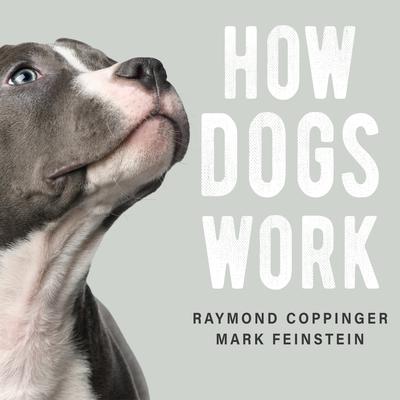 How Dogs Work by Raymond Coppinger audiobook