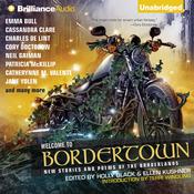 Welcome to Bordertown by  Holly Black audiobook