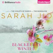 Blackberry Winter by  Sarah Jio audiobook