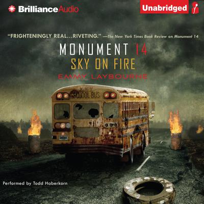 Sky on Fire by Emmy Laybourne audiobook