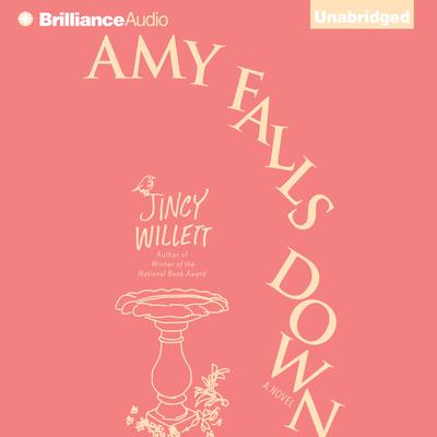 Amy Falls Down by Jincy Willett audiobook