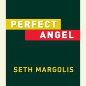 Perfect Angel by  Seth Margolis audiobook