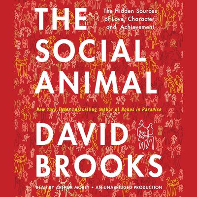 The Social Animal by David Brooks audiobook